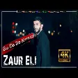 Zaur Eli - Bu Da Bir Alemdir
