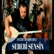 Fatih Burdurlu - Sebebi Sensin (Ankara Havası)