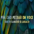 Zezé Di Camargo & Luciano - Pra Não Pensar Em Você
