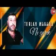 Terlan Manafli - Ne Gerek 2021