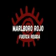 MARLBORO ROJO Fuerza Regida Las duras pa' los impactos