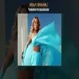 Günay İbrahimli - Xəbərin Yox Qəlbimdən (YUKLE)