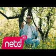 Altan Küçükyıldız - Papatya