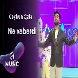 Ceyhun Qala - Nə xəbərdi