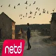Süreyya Açıkgöz - Neredesin