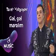 Taleh Yahyayev - Gəl, gəl maralım
