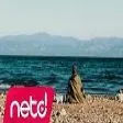 Salih Şahin - Münzevi