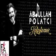 Abdullah Polatcı - Sine Sine Halaylarımız