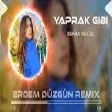 Zehra Gülüç - Yaprak Gibi ( Erdem Düzgün Remix )