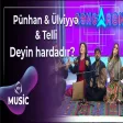 Pünhan Piriyev & Ülviyyə Namazova & Telli Borçalı - Deyin hardadır?