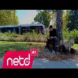 KARYA - Kuruyan Güller