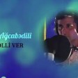 Samir Ağcabədili - Təsəlli Ver  (2020)