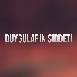 Sohret Memmedov - Duygularin Siddeti mp3 yukle