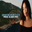 Elsen Pro - Sıkar Giderim (2026 246)