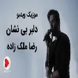 Reza Malekzadeh - Delbare Bineshan