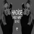 Hadise - Hay Hay ( Fatih Yılmaz Remix )