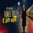 Dj Aziza - Numele Tau il Voi Uita