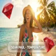 Sean Paul - Temperature [Afro House Remix] 🔥 Warning This Remix Raises The Temperature