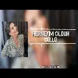 Güllü - Herşeyim Oldun ( Halil Yıldırım Remix ) 2.0