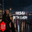 HAKOBABA - Bıktım Usandım ( Erkan KILIÇ Remix