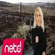 Niran Ünsal - Vay