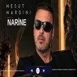 Mesut Mardini - Narine