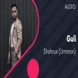 Shohrux (Ummon) - Guli  Шохрух (Уммон) - Гули (AUDIO)