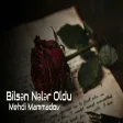 Mehdi Mammadov - Bilsən Nələr Oldu Vocalized By AI