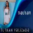 Türkan Vəlizadə - Dəlilər