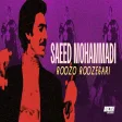 Saeed Mohammadi - Roozo Roozegari سعید محمدی - روز و روزگاری