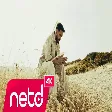 Berke Şentürk - Son Mevsim