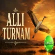 Allı Turnam (Türk Halk Müziği Enstrümental)