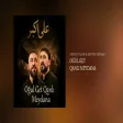 Seyyid Taleh & Seyyid Peyman - Oğul Get Qanlı Meydana