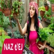Naz Dej - Ya Habibi
