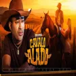 Toque Dez - Cavalo Alado (Clipe Oficial)