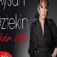 Aysun Öztekin - Fikrim Yok