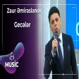 Zaur Əmiraslanov - Gecələr