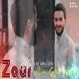 Zaur Eli - Seni Gorum Gerek (Official Music)