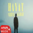 Serhat Erdem - nereye kadar hayat?