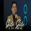 Ali Pormehr - Güle Güle