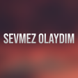Ferhad Xelif - Sevmez Olaydim mp3 yukle