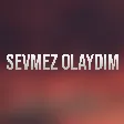 Ferhad Xelif - Sevmez Olaydim mp3 yukle