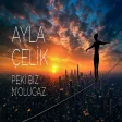 Ayla Çelik - Peki Biz N'olucaz