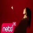 Ziynet Sali - Aşk Nerede