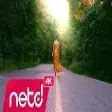 Orhan Söğüt - Sadem