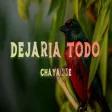Chayanne - Dejaría Todo