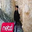 Cesi King - Nerden Bileceksin