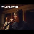 Billie Eilish - WILDFLOWER
