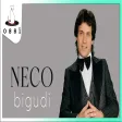 Neco - Bigudi