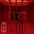 KATSEYE (캣츠아이) Animal Official